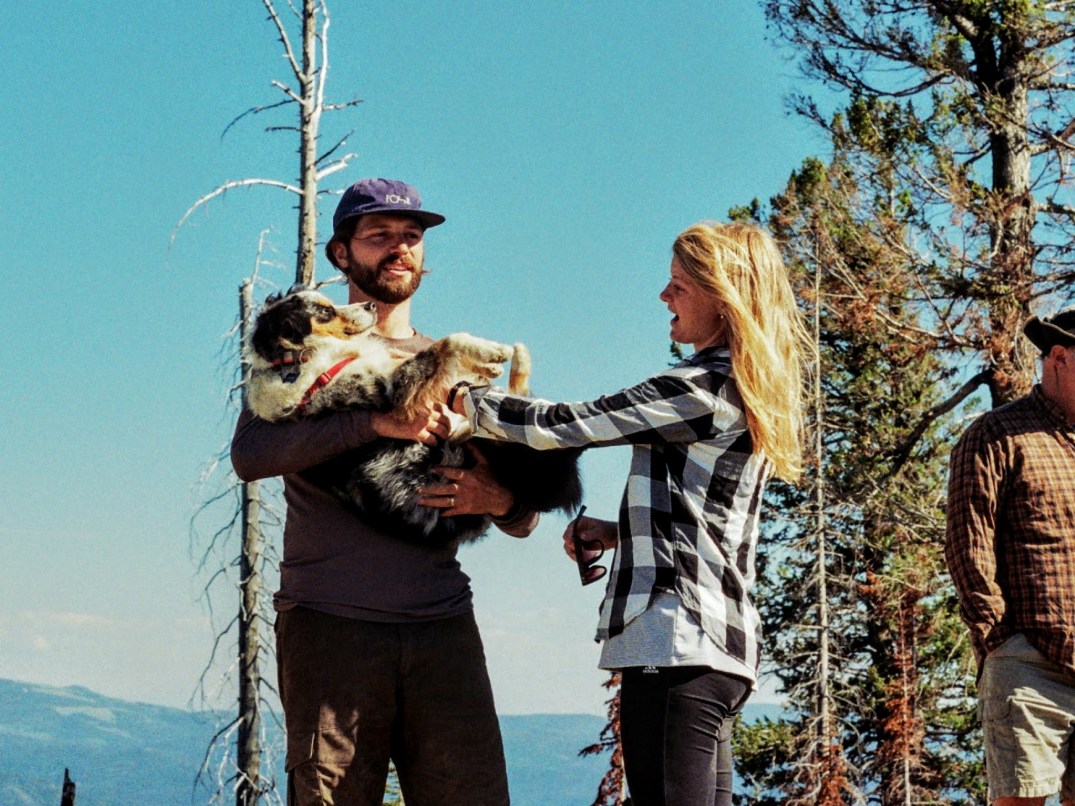 Autosave-File vom d-lab2/3 der AgfaPhoto GmbH