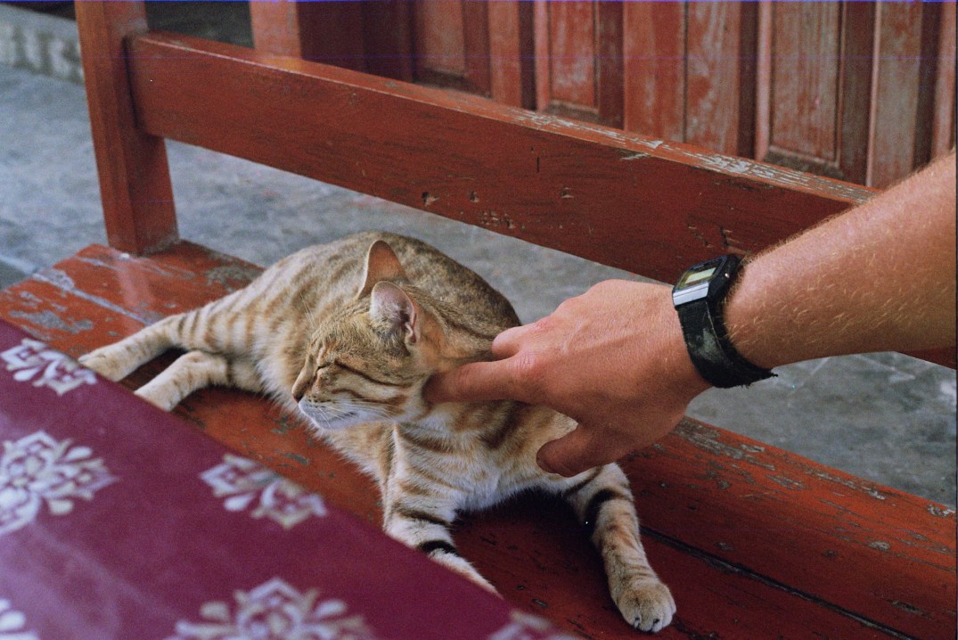 Autosave-File vom d-lab2/3 der AgfaPhoto GmbH